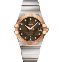 Brown dial watch on Steel - red gold case with Steel - red gold bracelet - Constellation 38 mm, steel - red gold on steel - red gold - 123.20.38.21.63.001