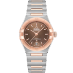 星座系列 29毫米, 不鏽鋼-Sedna™金錶殼 於 不鏽鋼-Sedna™金錶鏈 - 131.20.29.20.13.001