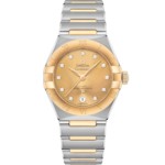 Constellation 29 mm, steel - yellow gold on steel - yellow gold - 131.20.29.20.58.001