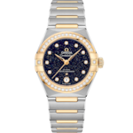 星座系列 29毫米, 不鏽鋼-黃金錶殼 於 不鏽鋼-黃金錶鏈 - 131.25.29.20.53.001