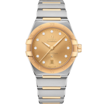 Constellation 39 mm, steel - yellow gold on steel - yellow gold - 131.20.39.20.58.001