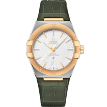 Constellation 39 mm, steel - yellow gold on leather strap - 131.23.39.20.02.002