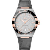 星座系列 41毫米, 不鏽鋼-Sedna™金錶殼 於 皮革錶帶 - 131.23.41.21.06.001