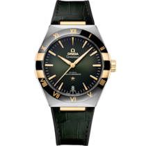 Constellation 41 mm, steel - yellow gold on leather strap - 131.23.41.21.10.001