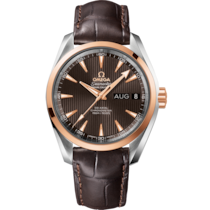 Seamaster 38.5 mm, steel - red gold on leather strap - 231.23.39.22.06.001