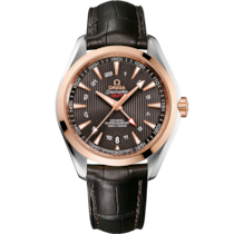 Seamaster 43 mm, steel - red gold on leather strap - 231.23.43.22.06.001