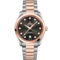 海馬 38毫米, 不鏽鋼-Sedna™金錶殼 於 不鏽鋼-Sedna™金錶鏈 - 220.20.38.20.56.001
