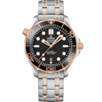 海馬 42毫米, 不鏽鋼-Sedna™金錶殼 於 不鏽鋼-Sedna™金錶鏈 - 210.20.42.20.01.001