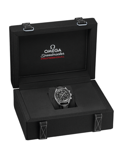 Speedmaster Moonwatch Professional 42 mm, steel on leather strap - 310 ...