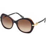 Sunglasses - Butterfly style, Classic, Woman - OM0036-H5505F