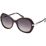 太陽眼鏡 - 蝴蝶款式，經典系列, 女仕 - OM0036-H5569B
