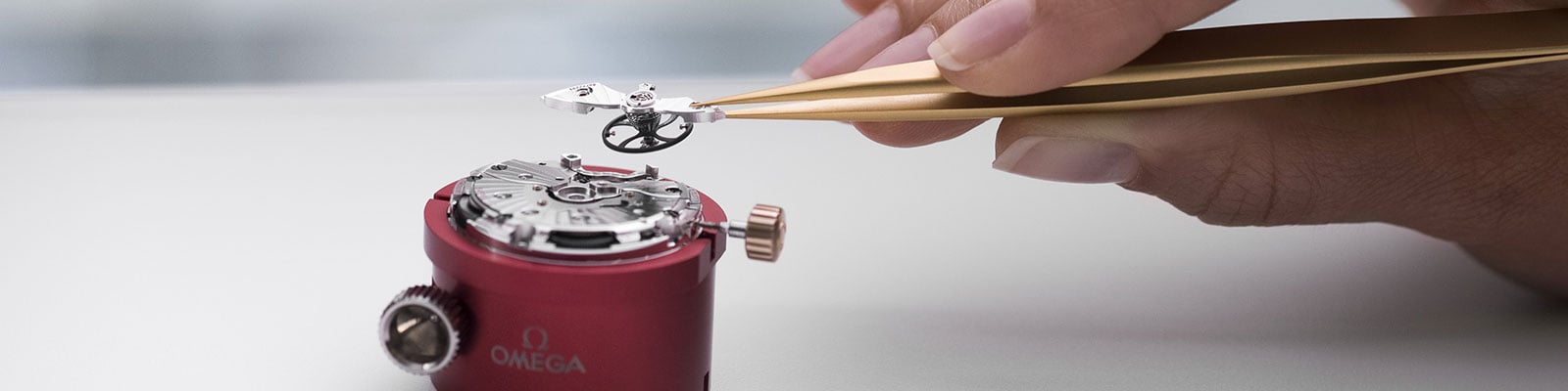 Watch Servicing And Prices Omega